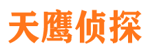 魏都市侦探公司